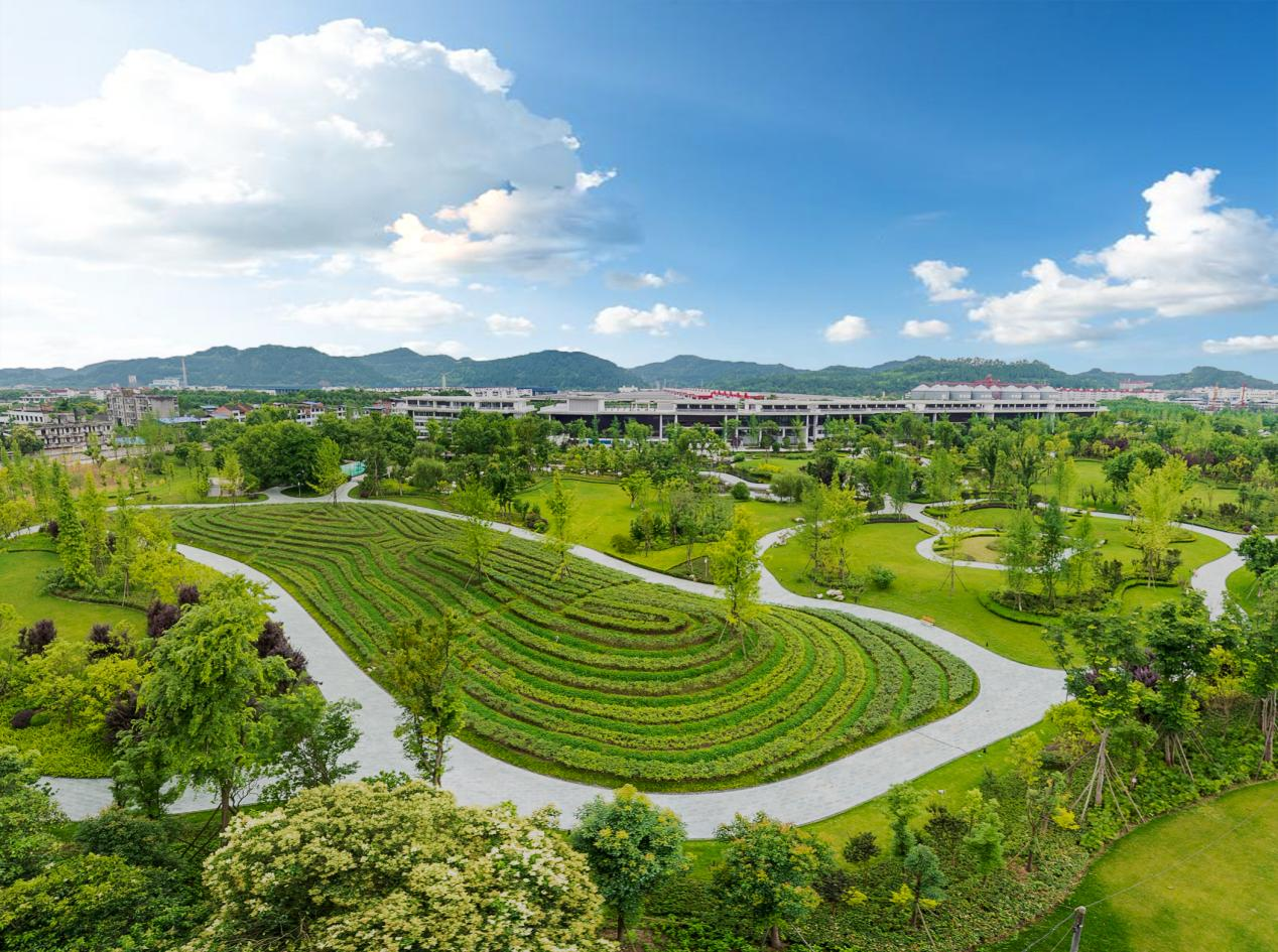 ĴQYǧڹݶֲʽĿʽ粢(ͼ8)